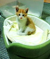 20101021224907.jpg